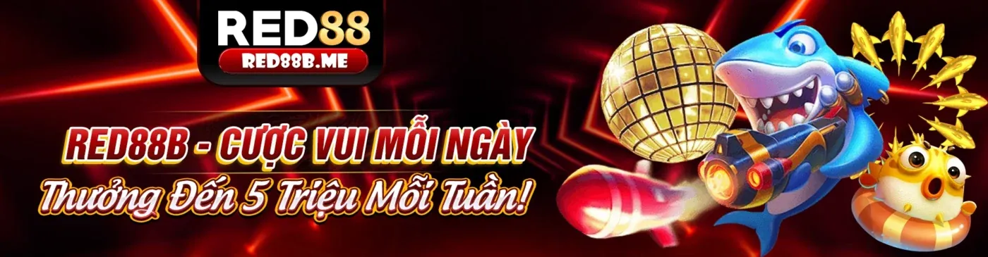 Hình ảnh minh họa cam kết GDPR của Bom88 Link Mới